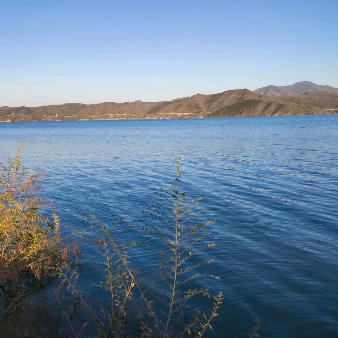 拦路雨偏似雪花