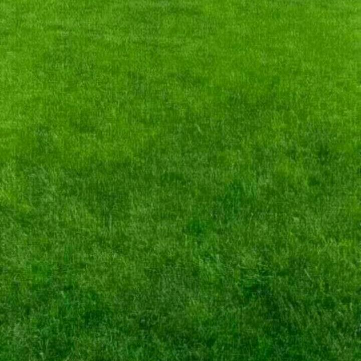 自性法新