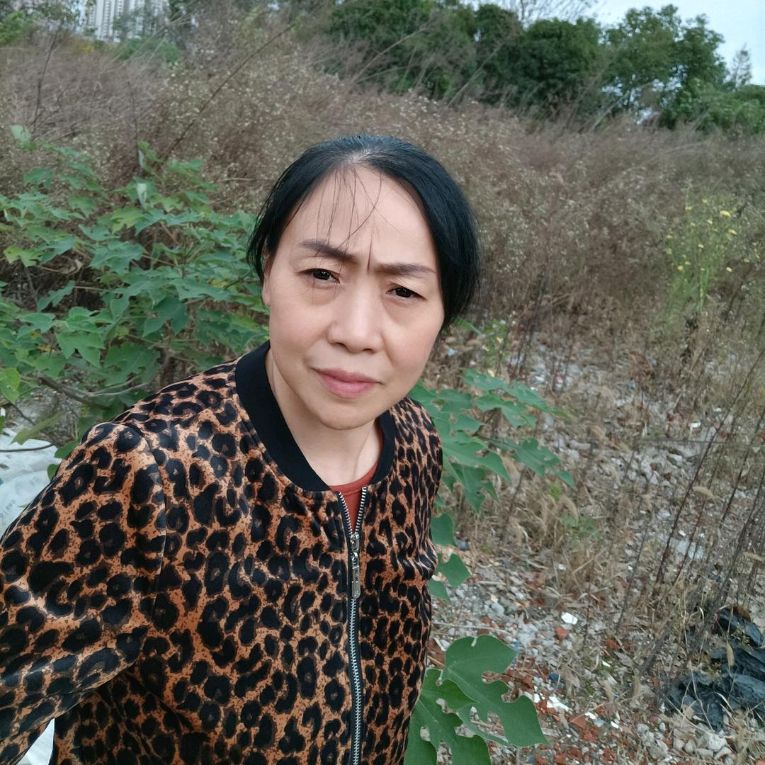 范姐