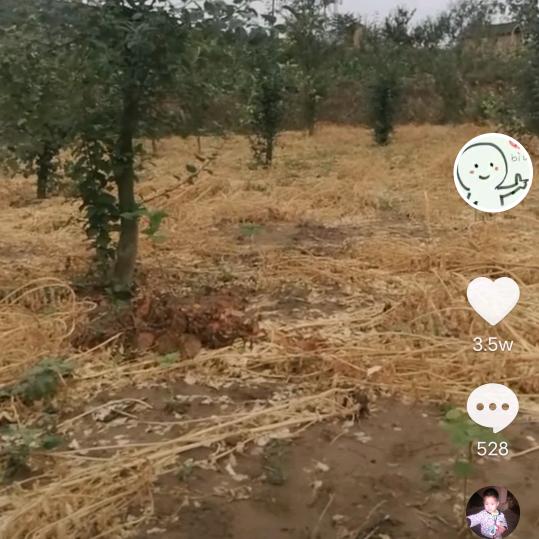 向祥荣