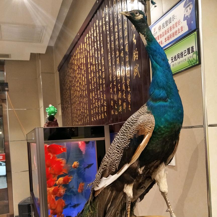 神仙奶奶丁英