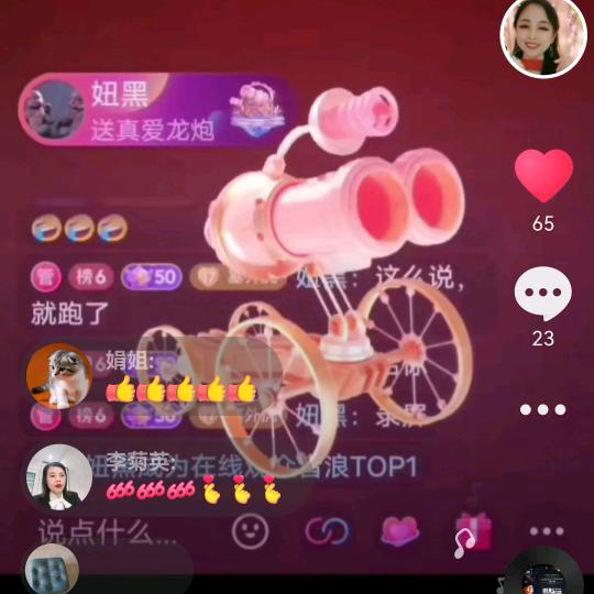 塞外虎