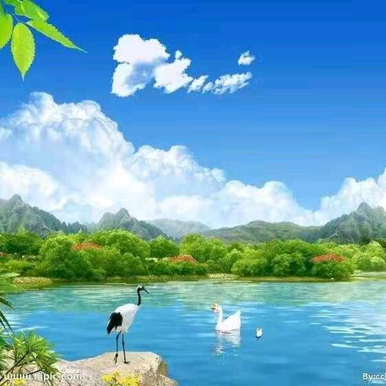 🌈🌈匆匆那年