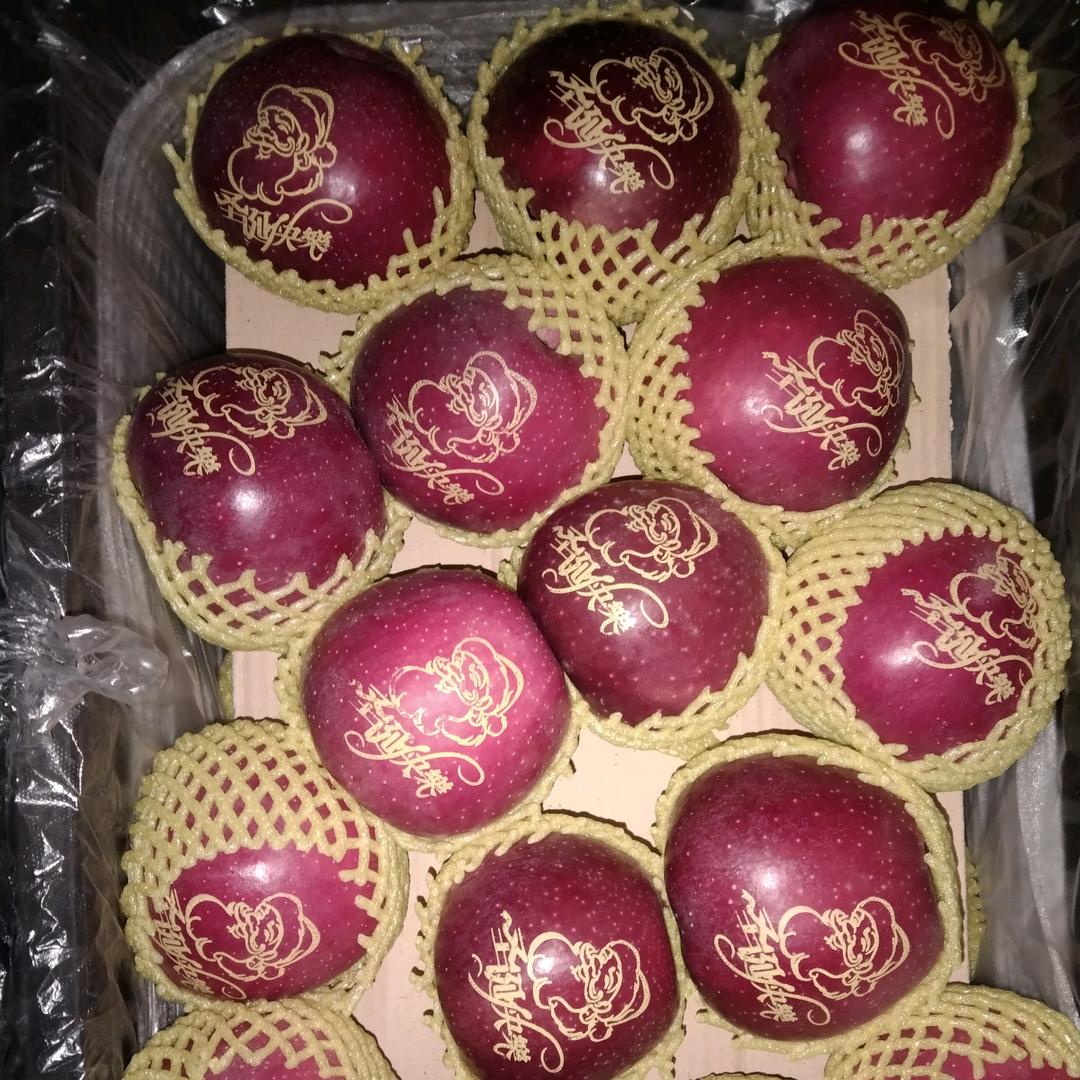 *⁂((✪⥎✪))⁂*王家姑娘✧*｡٩(