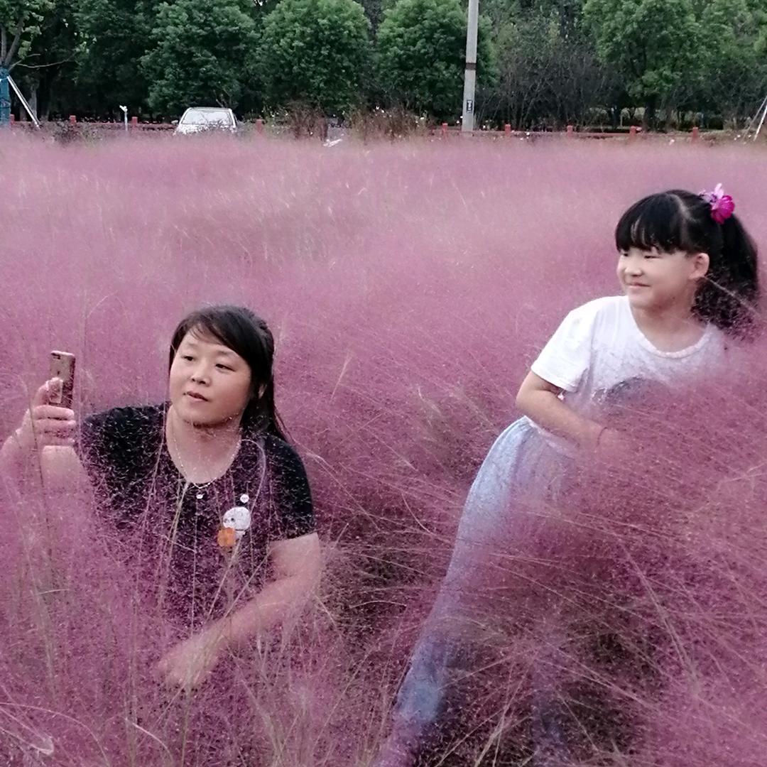 奔跑的兔子