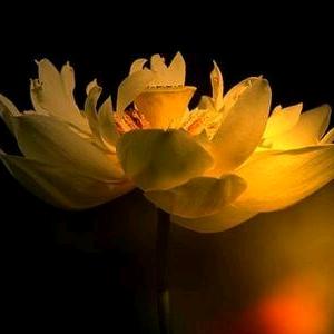 菏泽馨田心理咨询