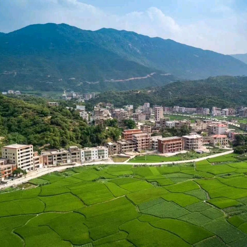 我是八妹