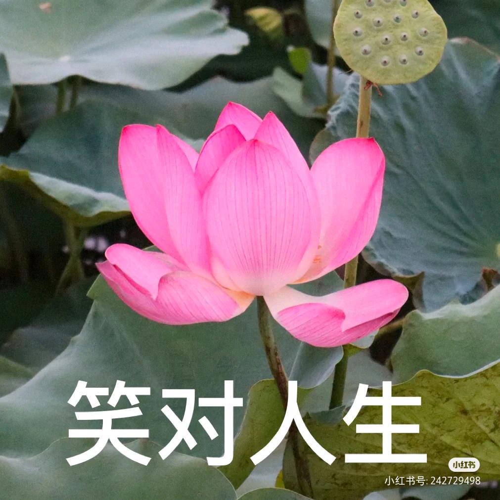 每天都是新生