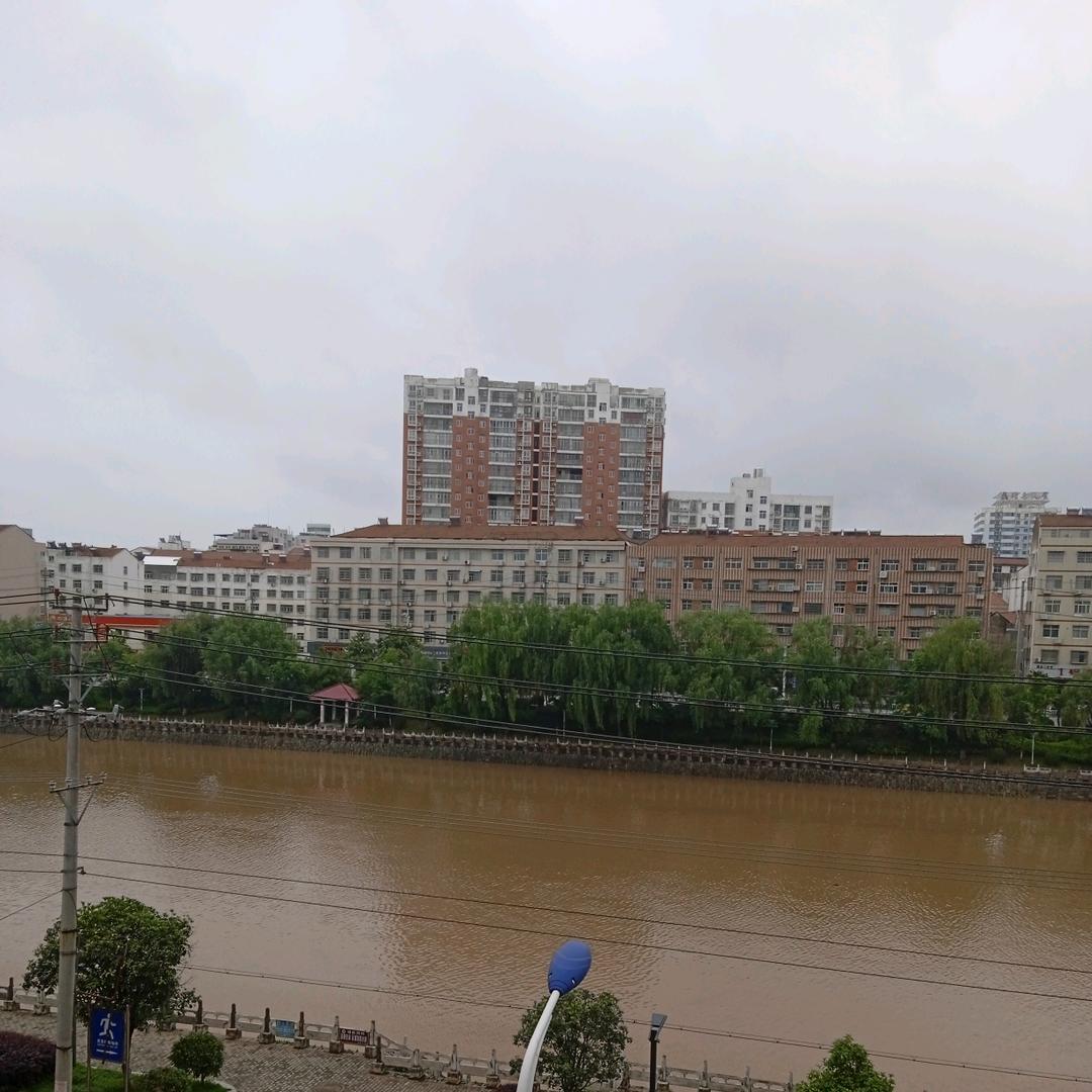 蔡蔡