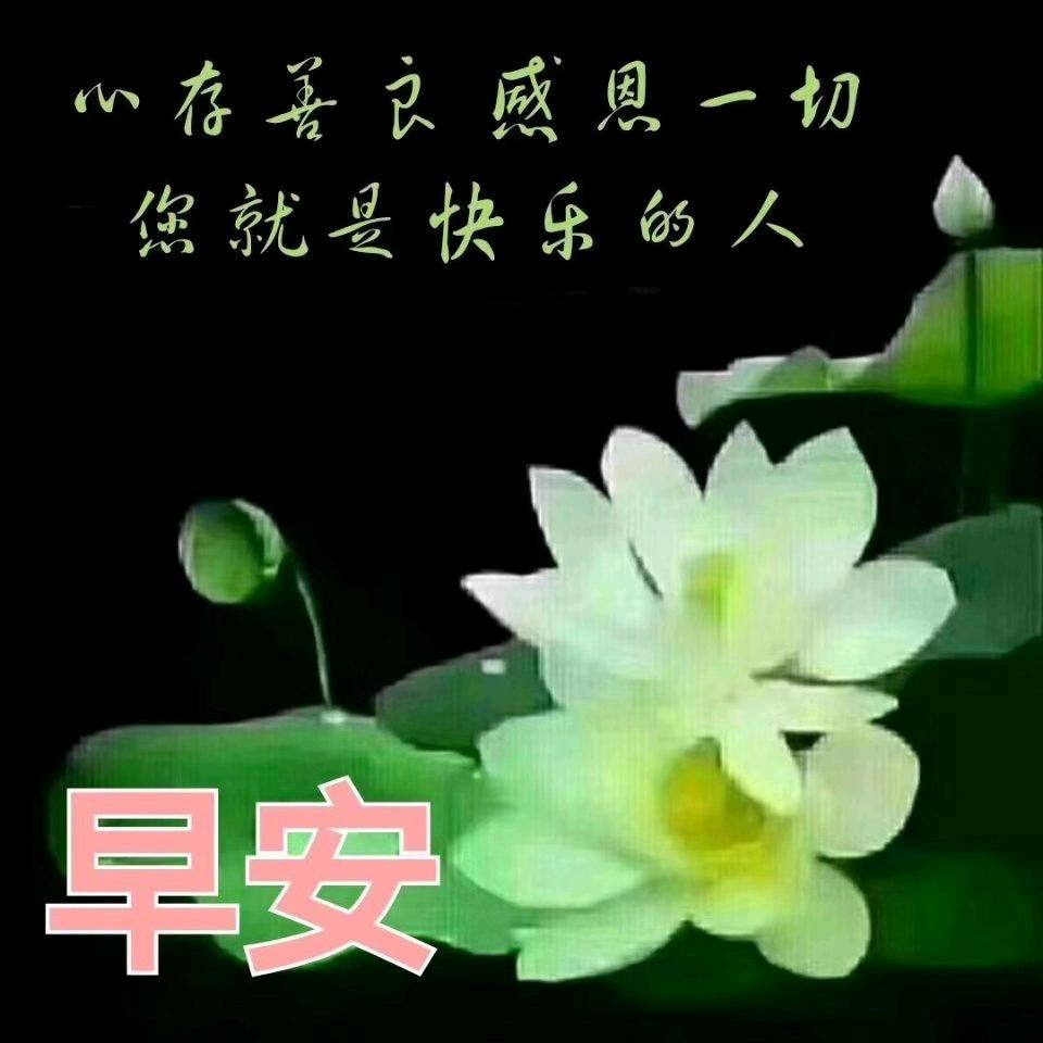 闯荡江湖