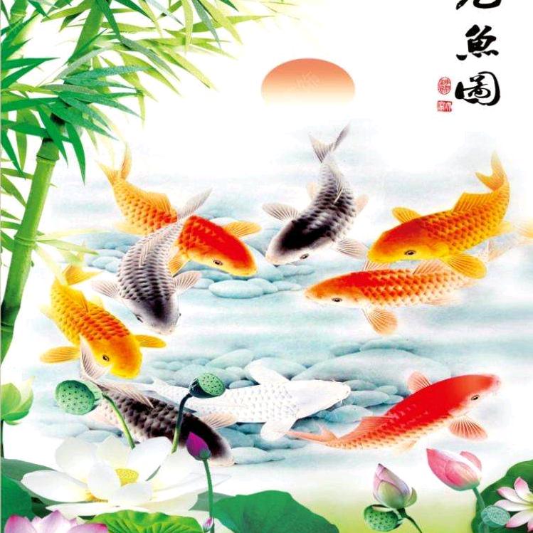 海洋中的一条鱼