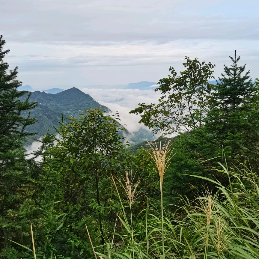 四川农村妹