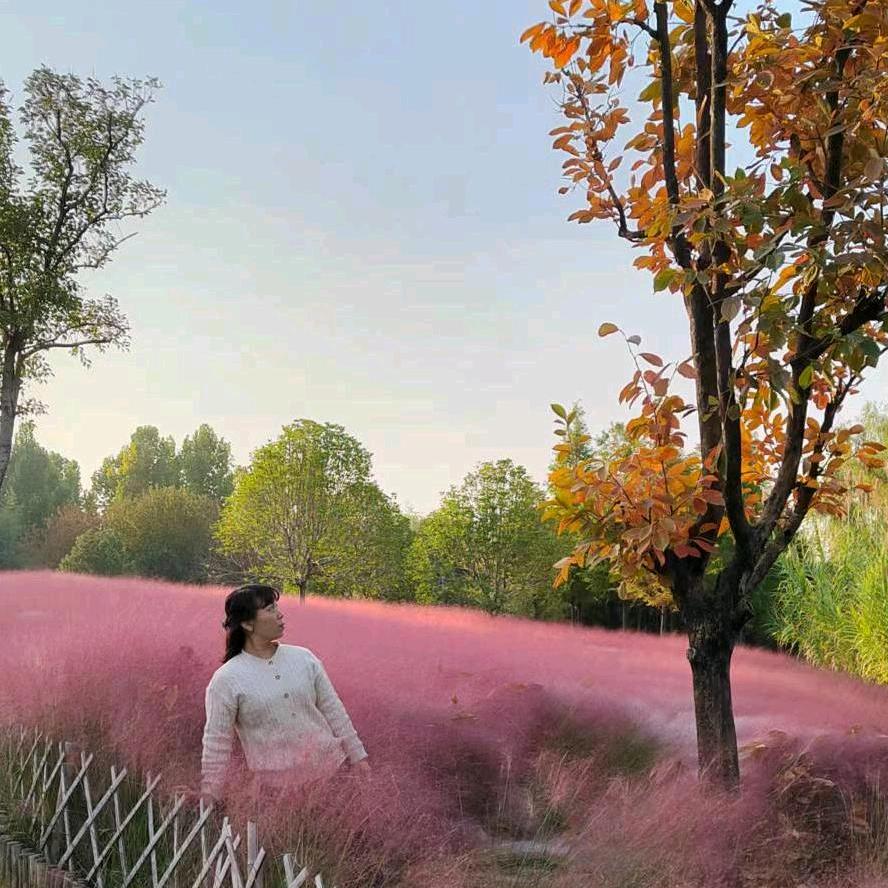 高培《鑫福鼎门业》