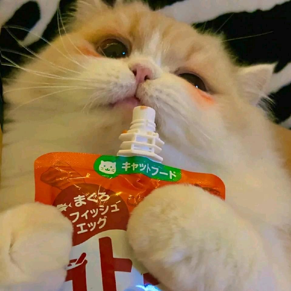 呼噜噜