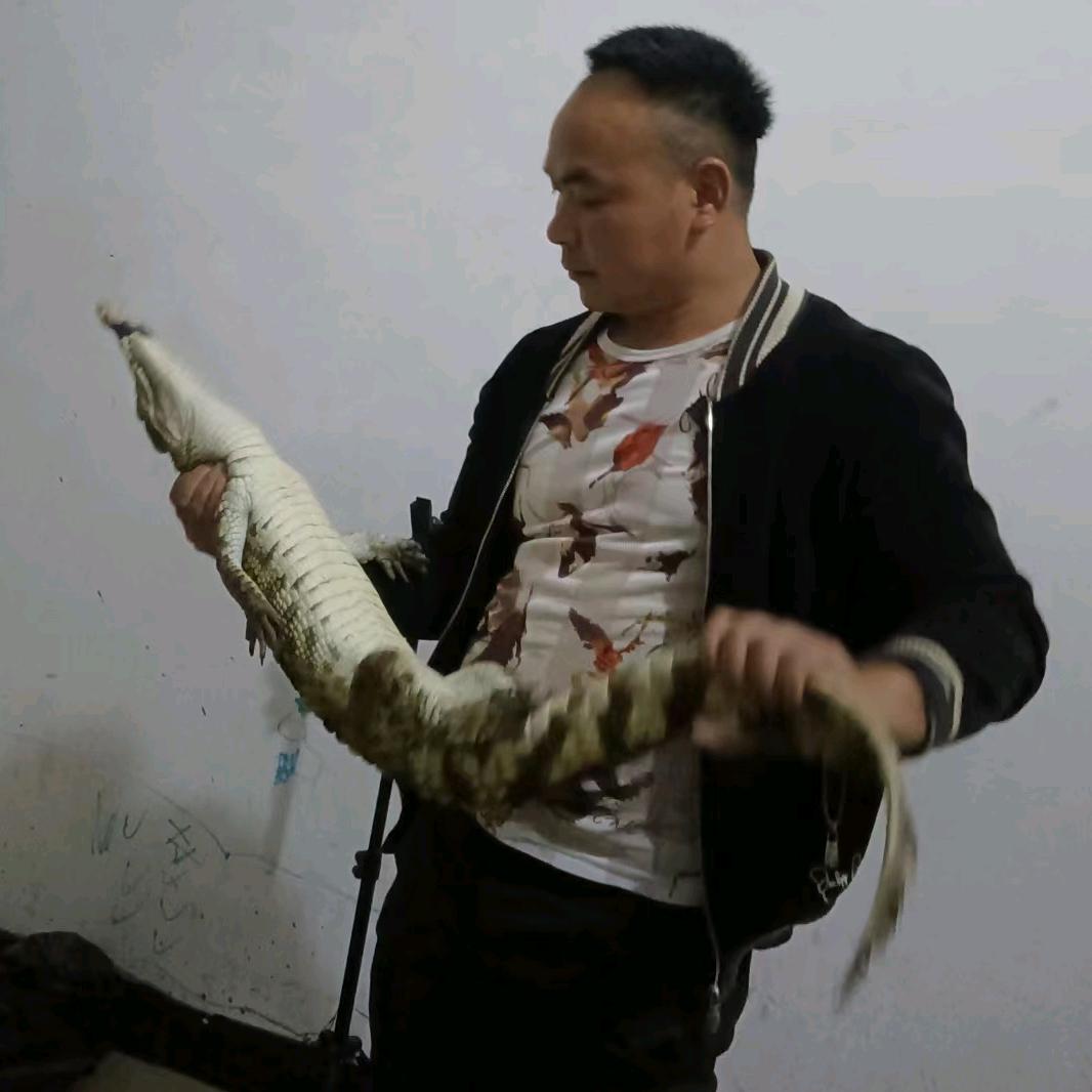 河鱼 生态鱼长期供应 （独山）