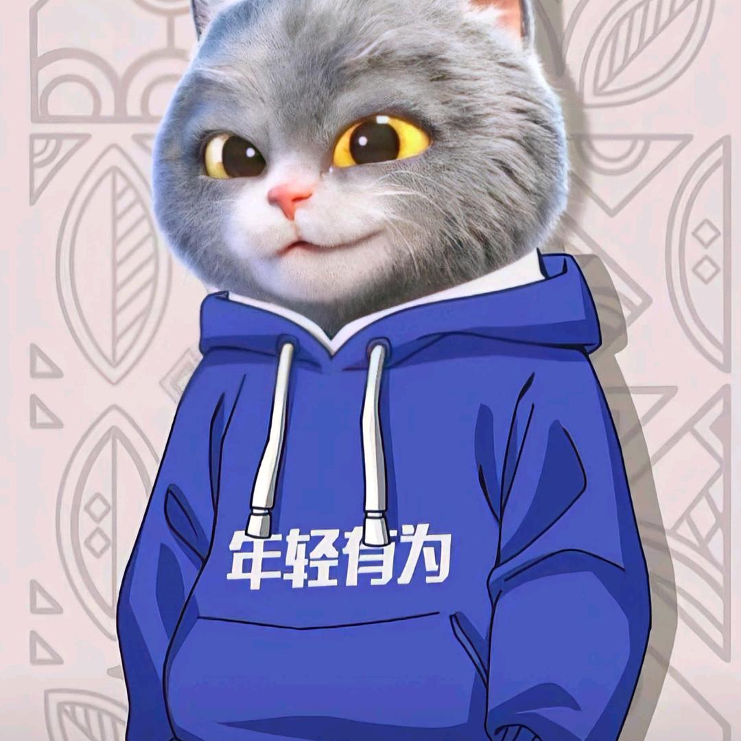 诚诺汽车装饰