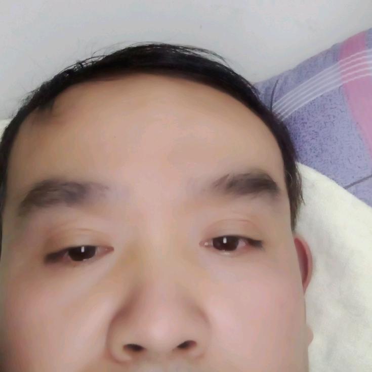 鲍涛