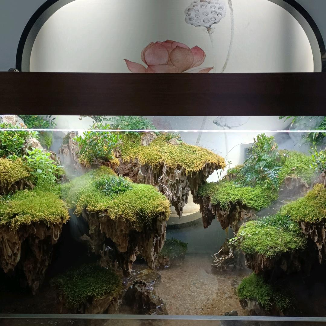向日葵🌻