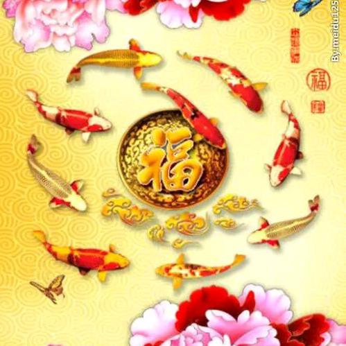 感恩所有遇见