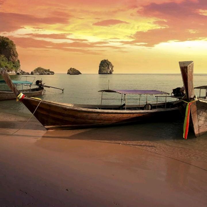 沙漠之舟