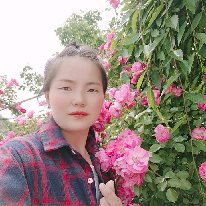 佳美～之地