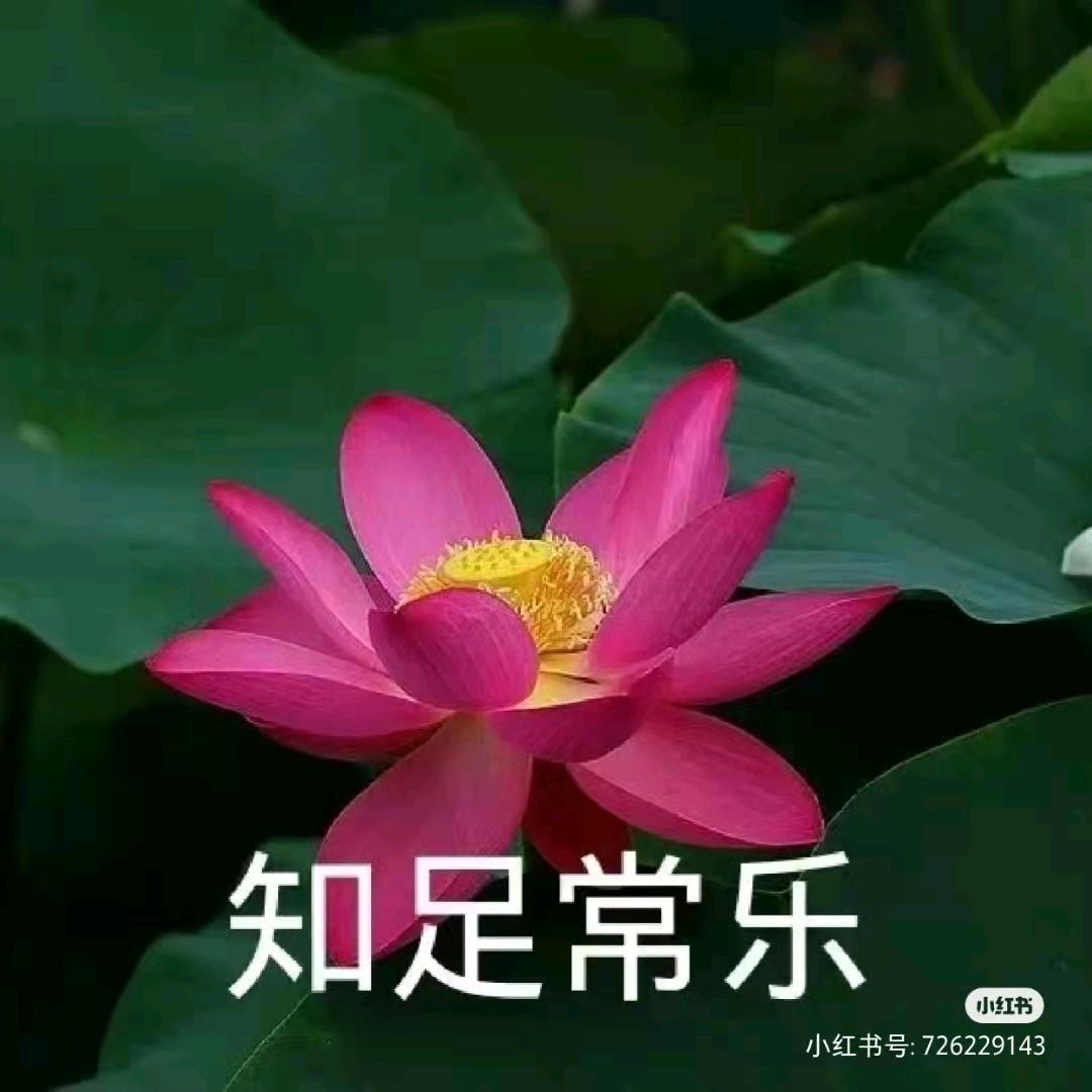 光辉岁月888