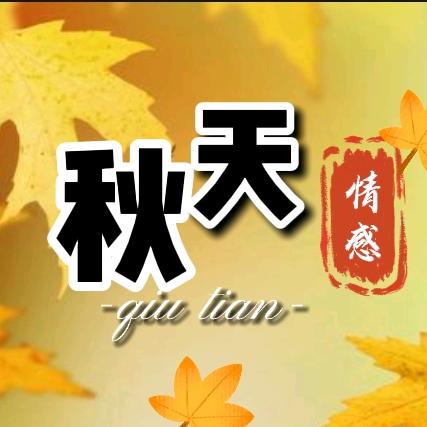 秋天🍁