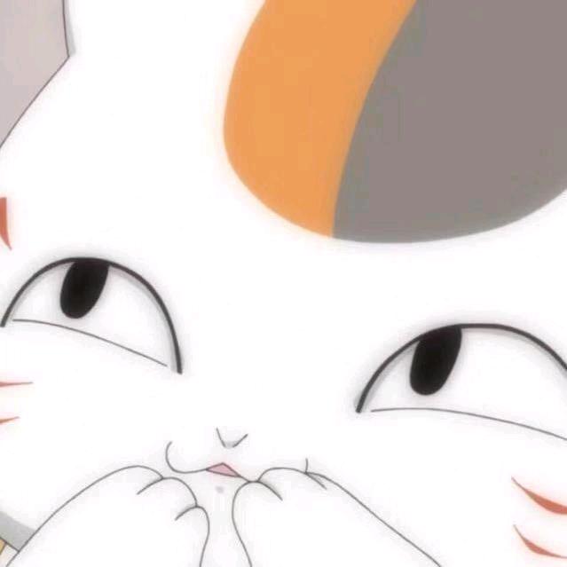 猫咪丶先生