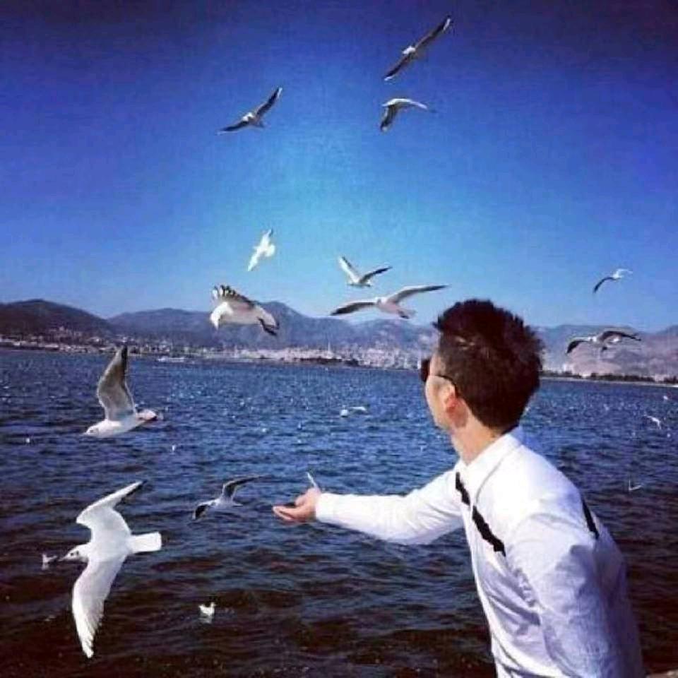 🌹非你不可🌹