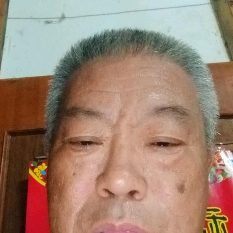 陈伏兵