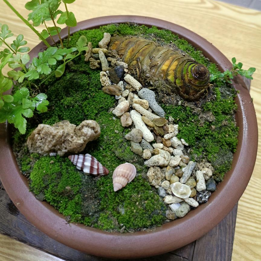 云山竹韵