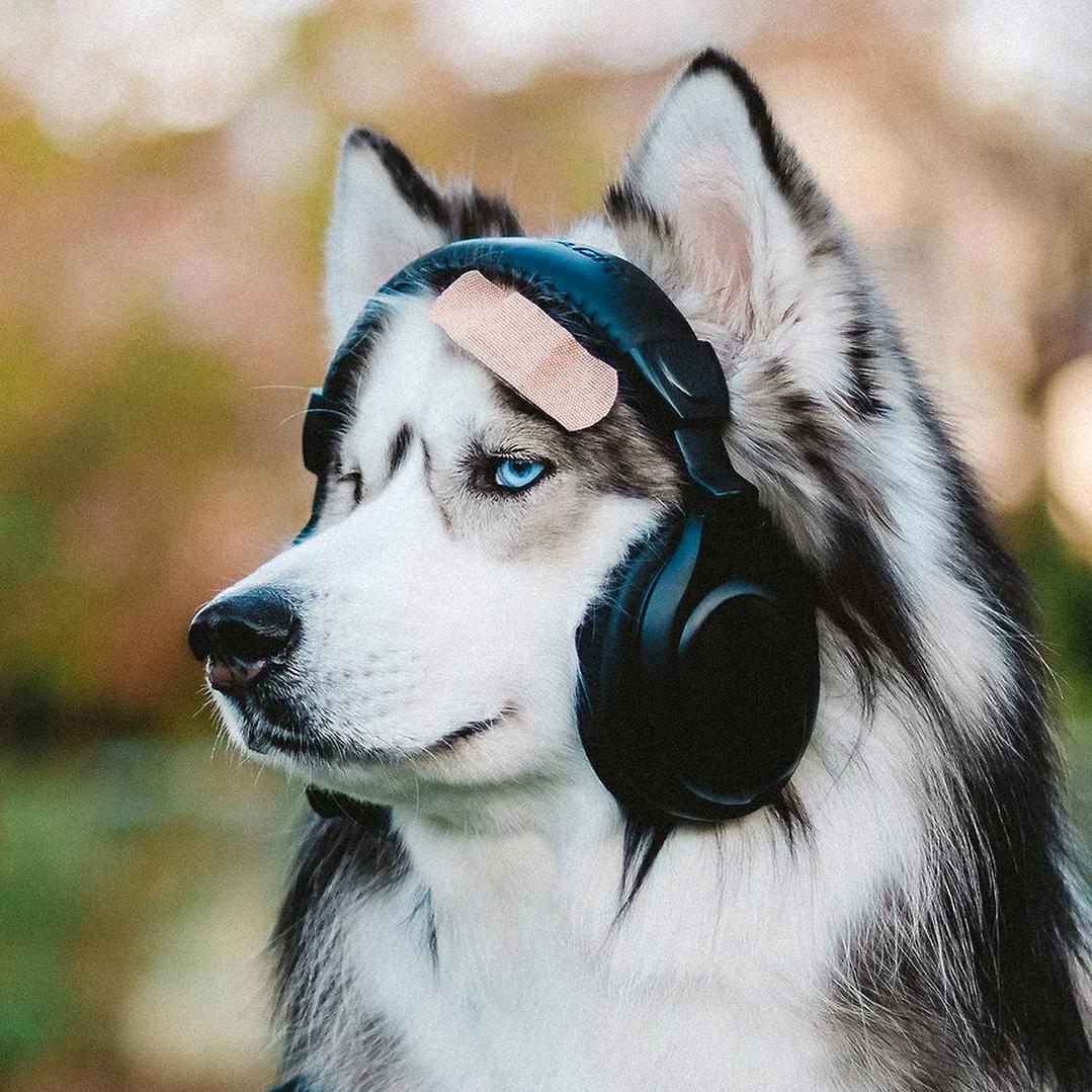 想要长胖的可欣