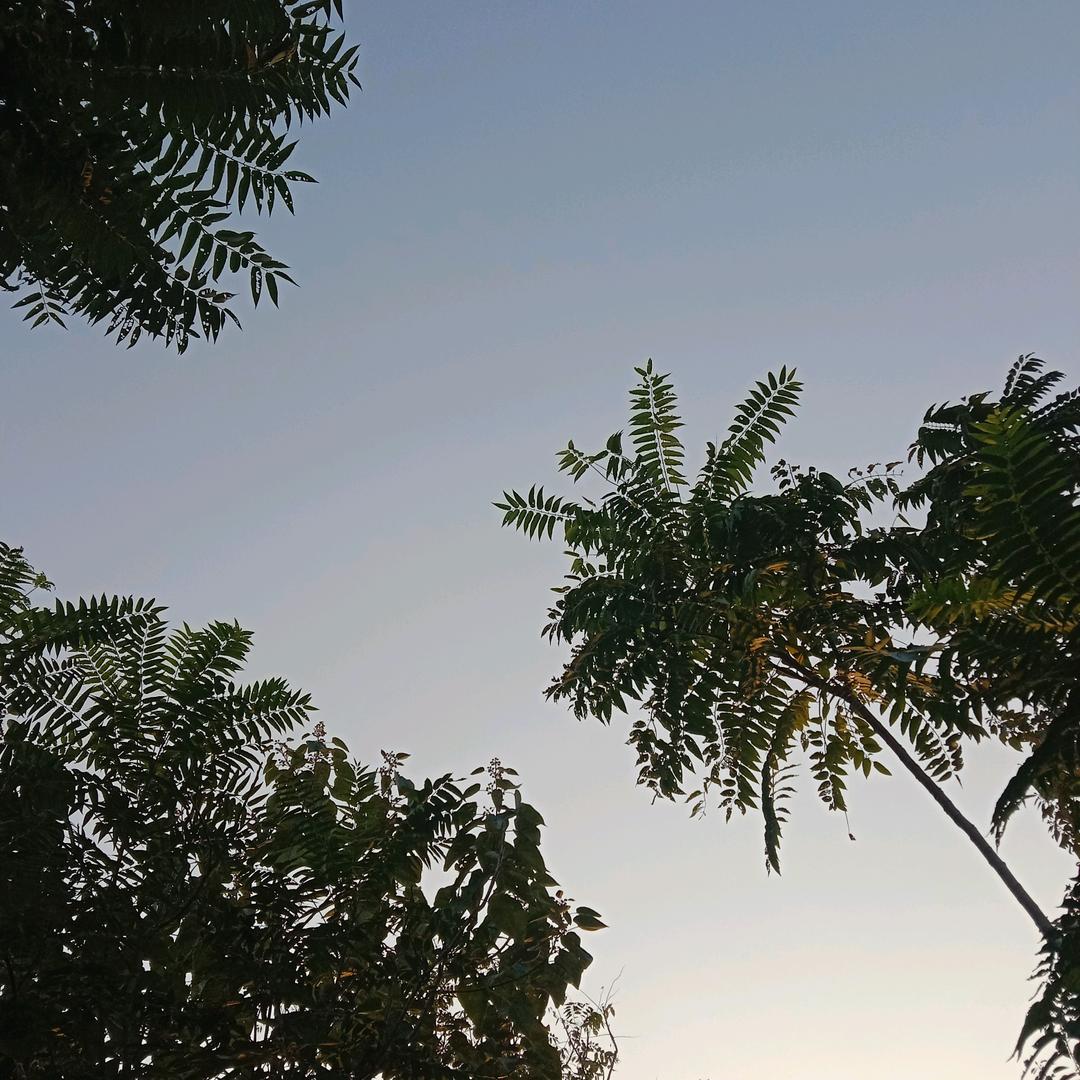 清风明月