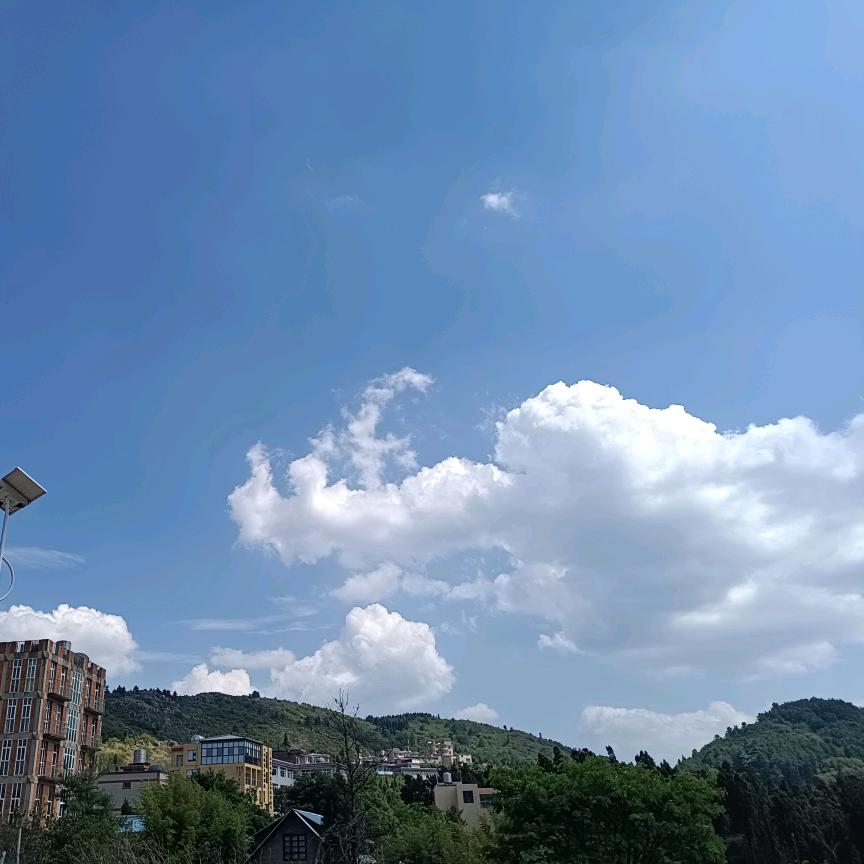 咳咳咳