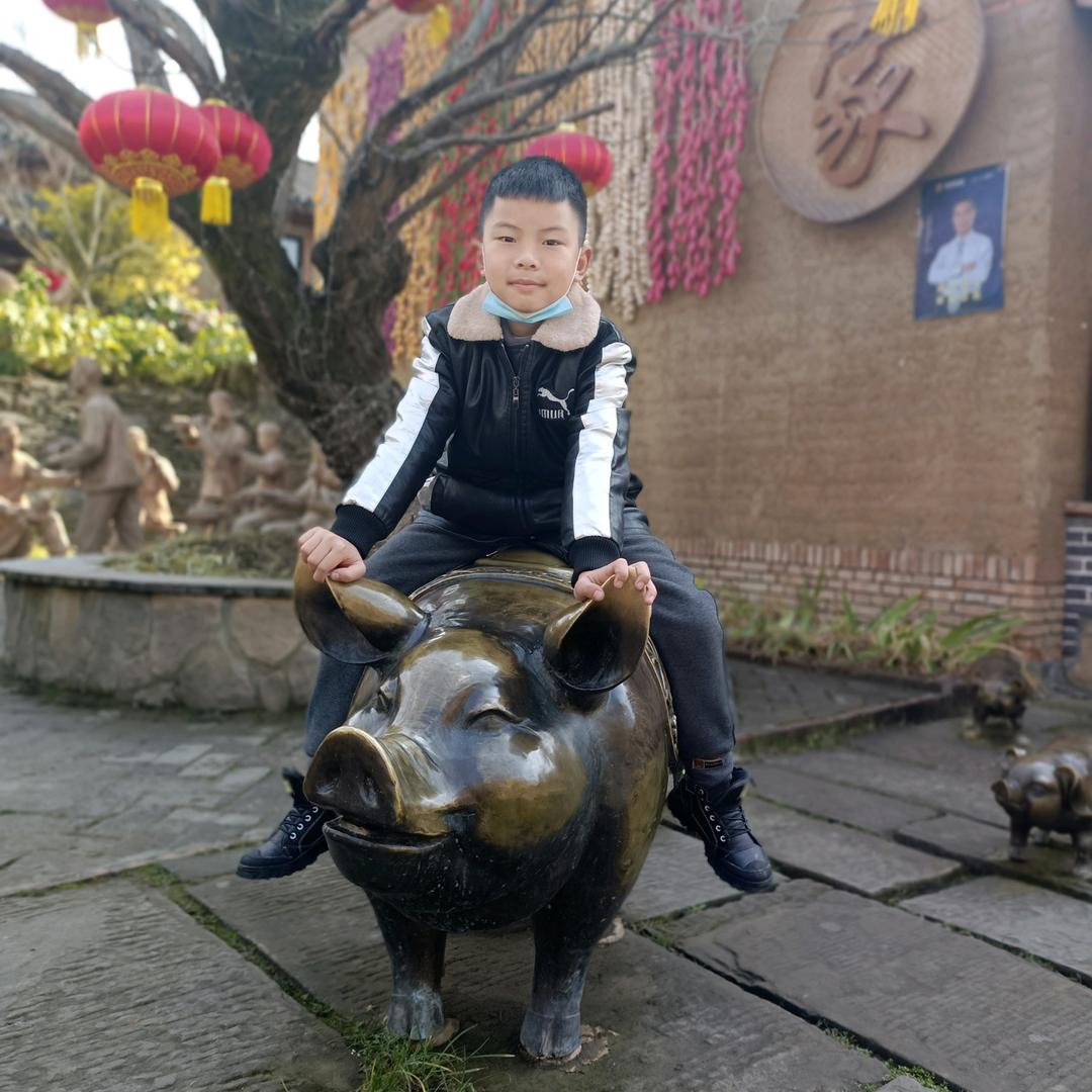 竹溪仔猪交易小凌
