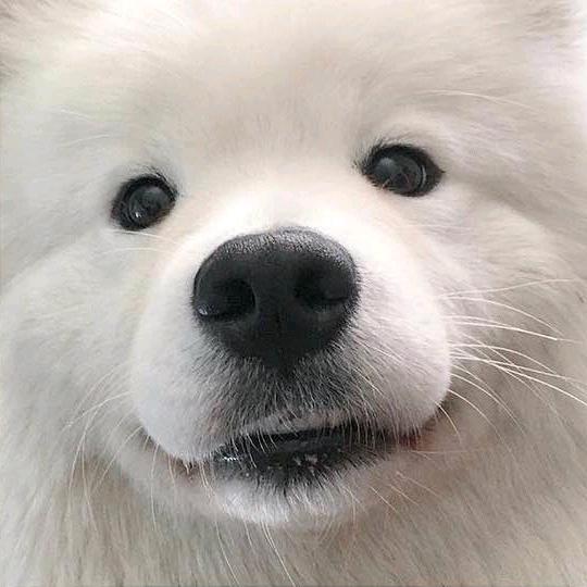 張裕