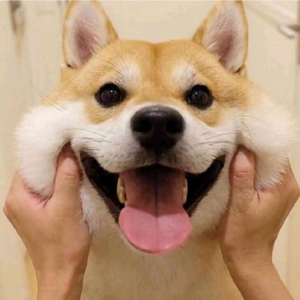 .张某人.头像