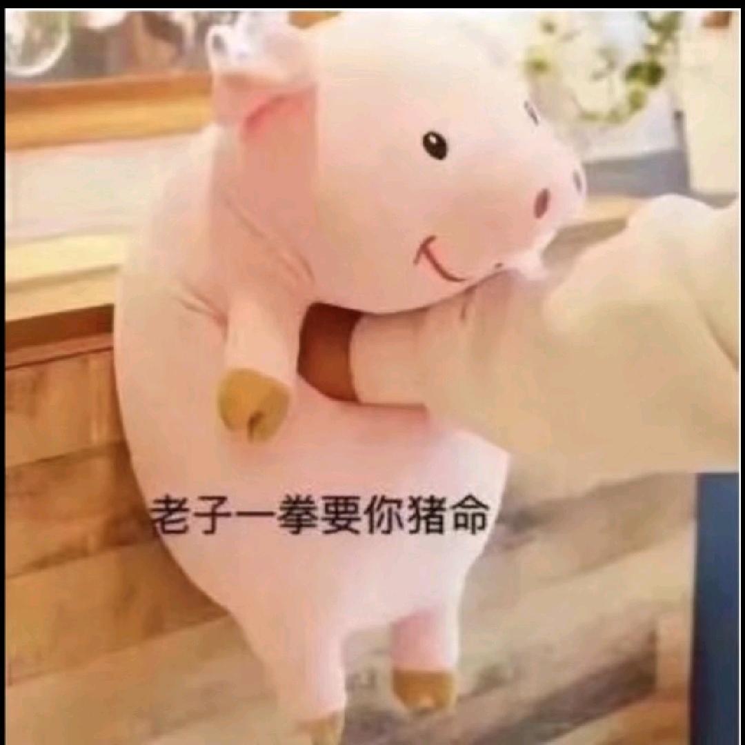 假粉丝