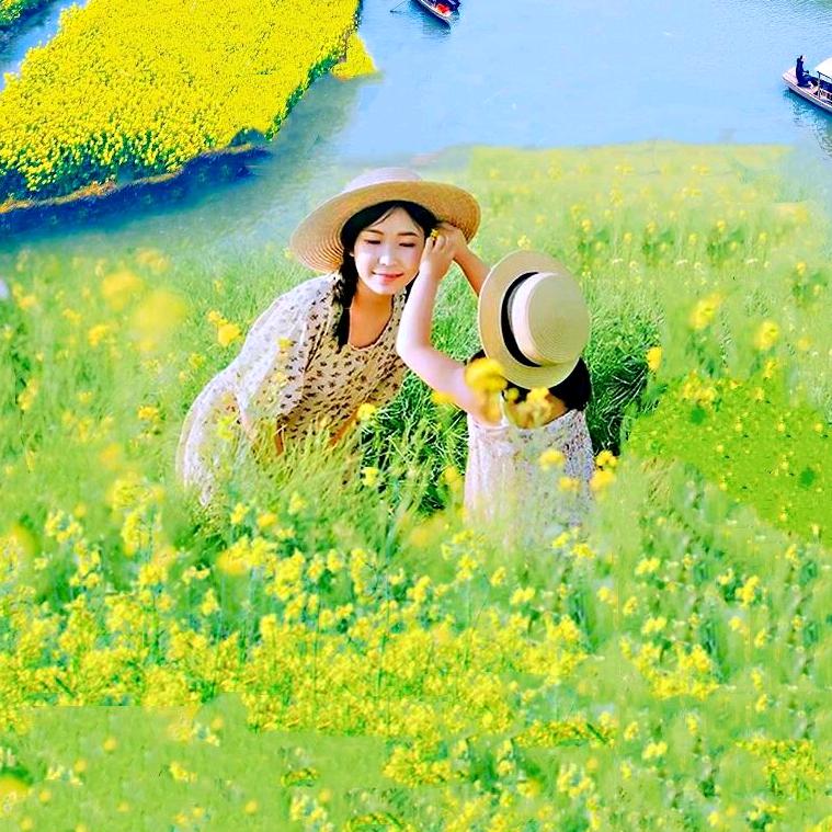 🎶春暖花开🌸