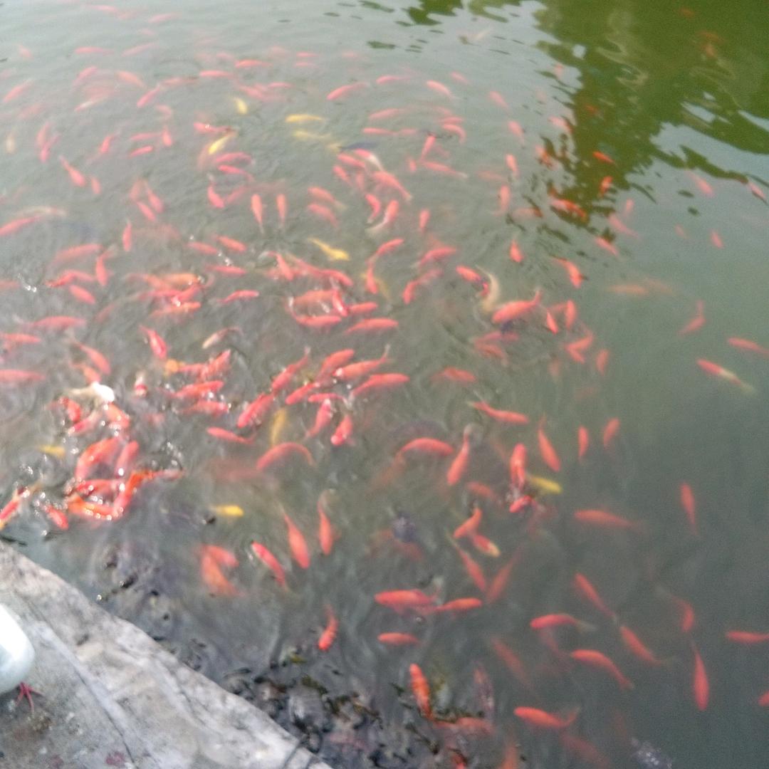 缘分