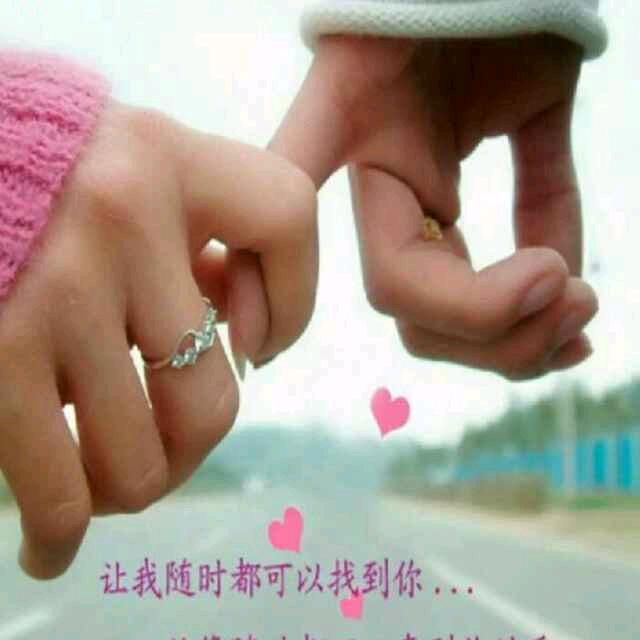 🐷哥