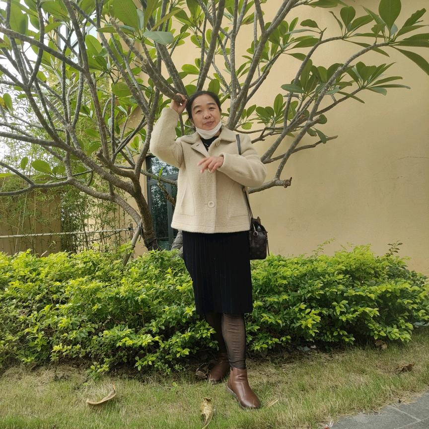 菊花好人一生平安