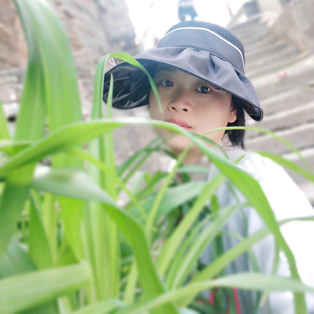 淇澳