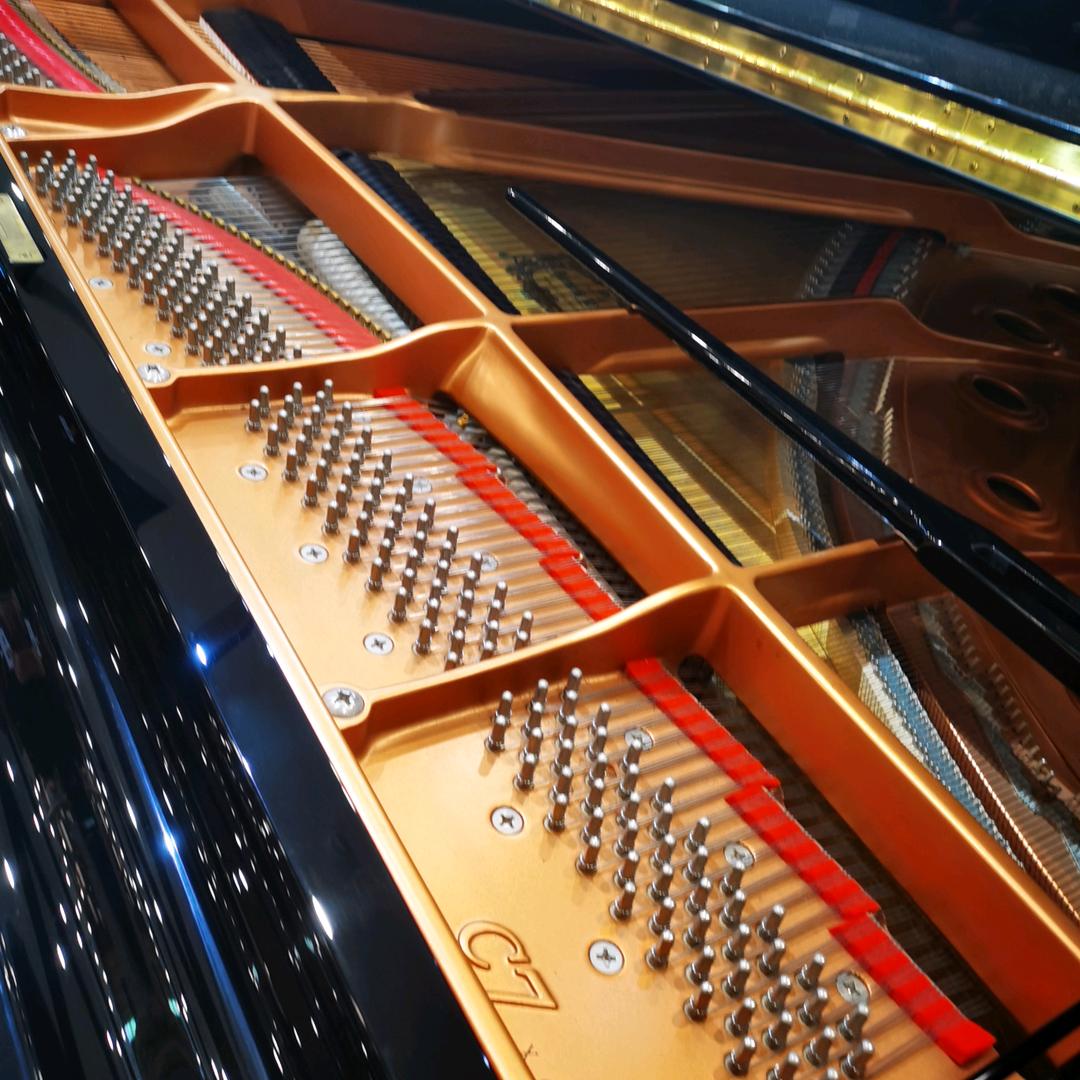 长沙周泳希乐器有限公司