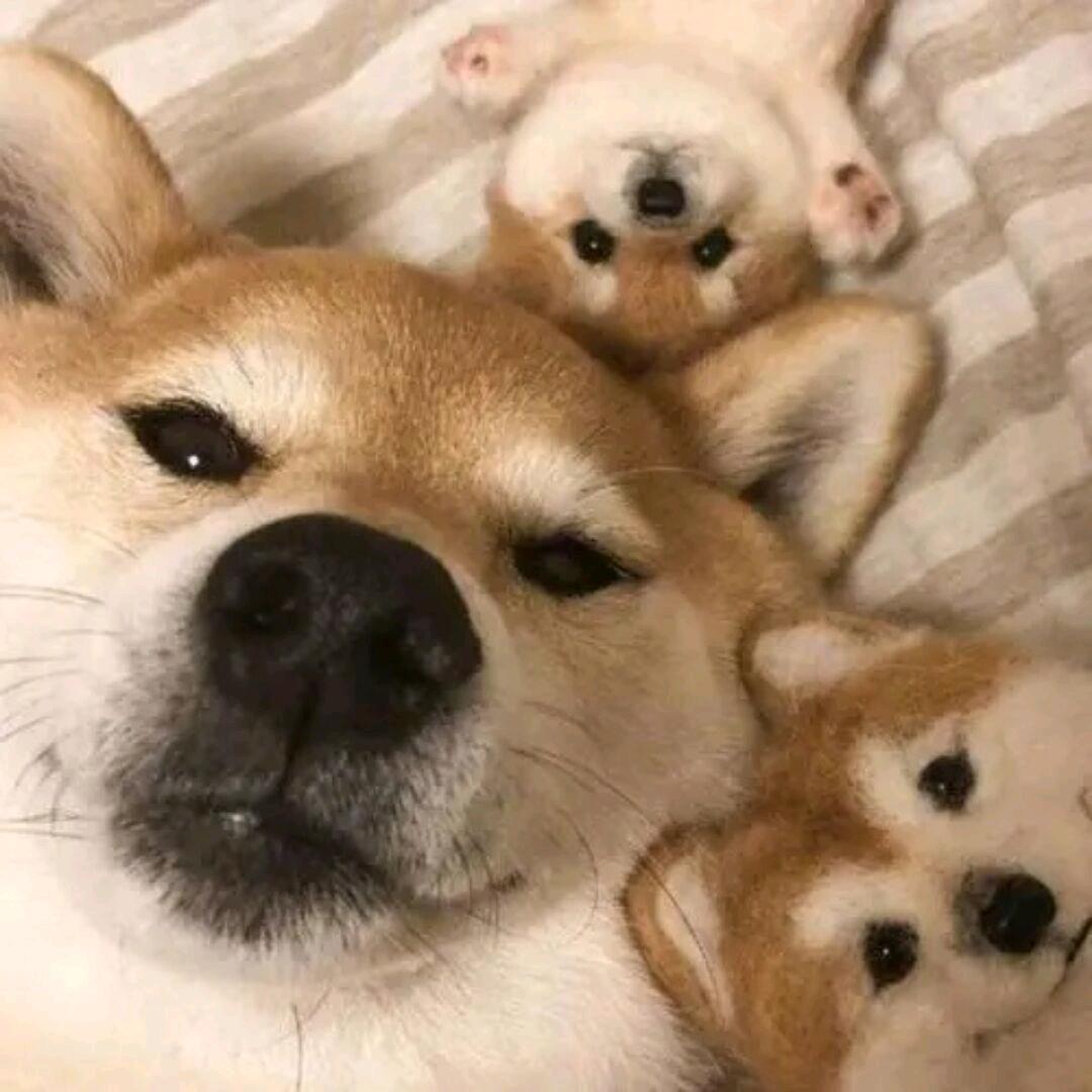远方的远方