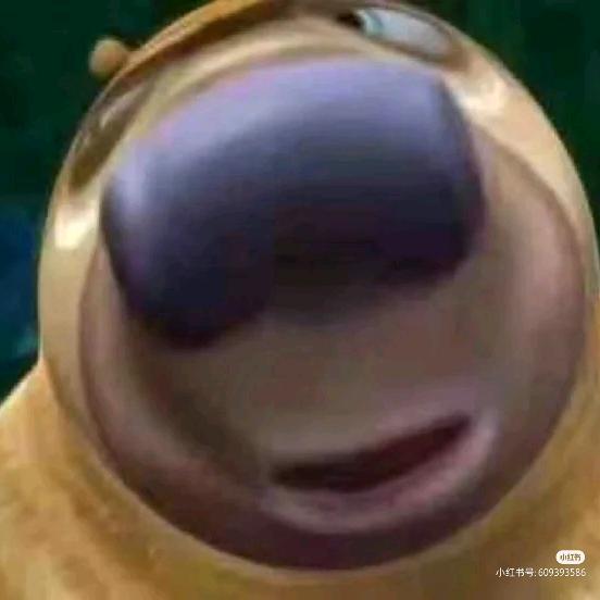 卖核弹的小男孩