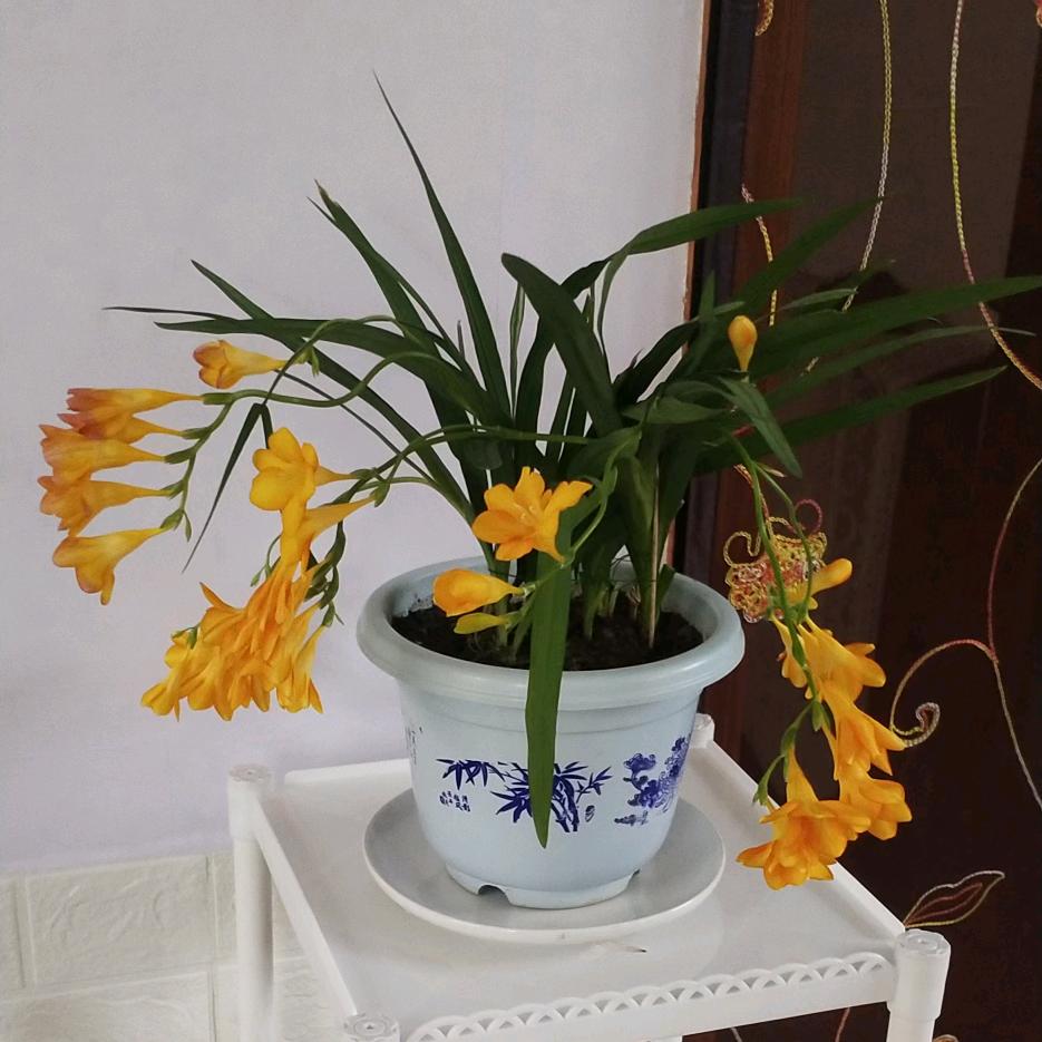 不离不弃☞