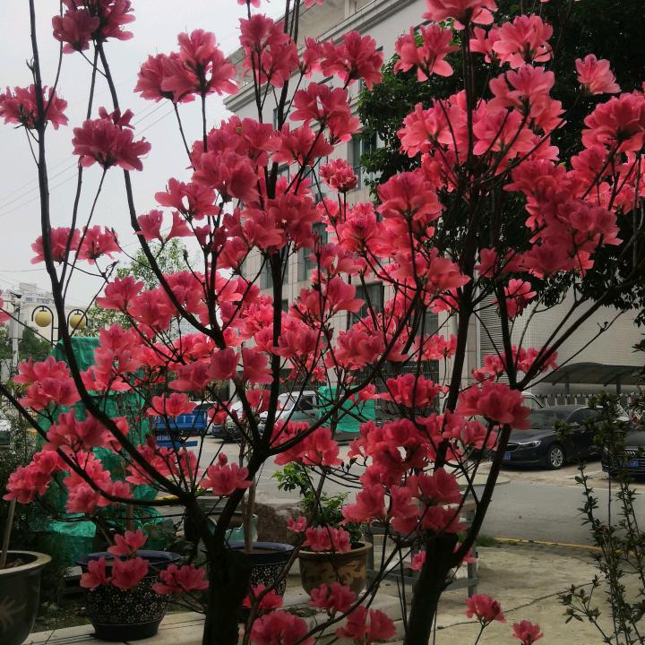 定妆绣一孙必翠