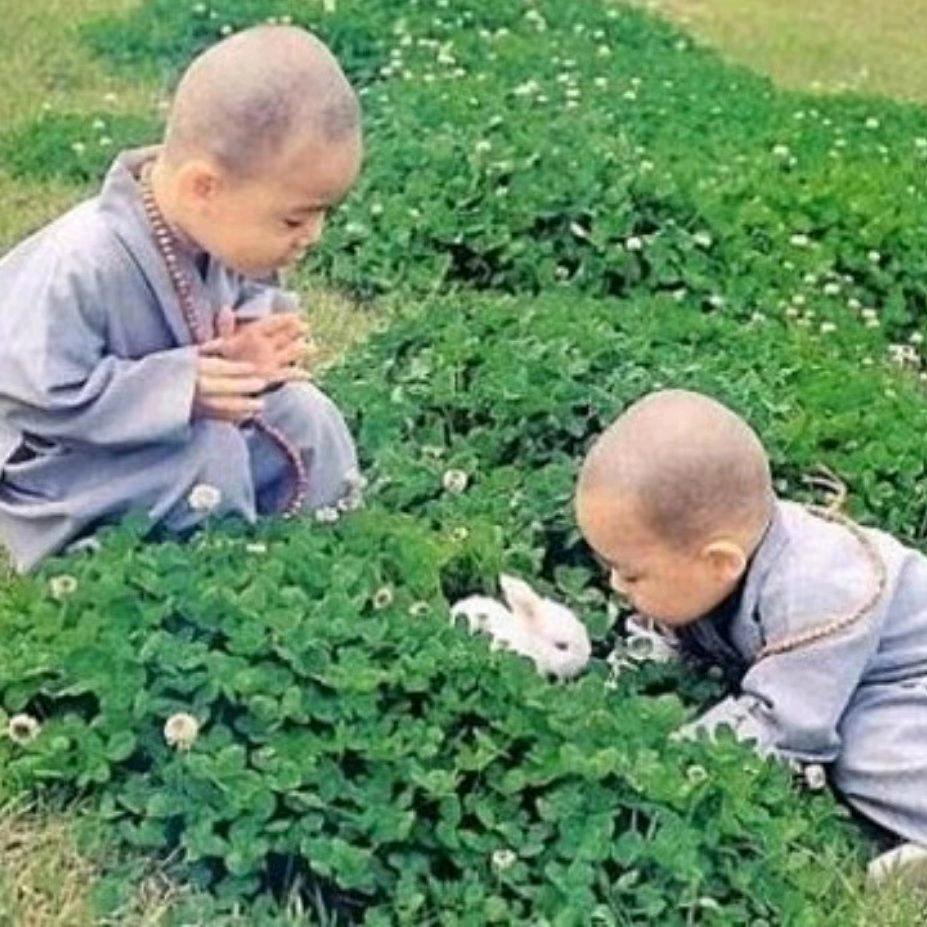 治诗堂