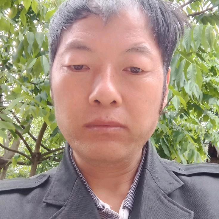 上若弦儀